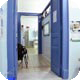 MessinaVet Ambulatorio Veterinario Messina - Corridoio
